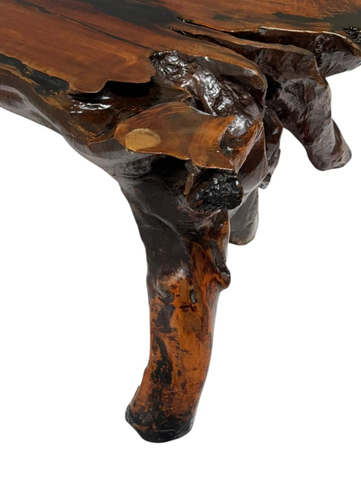 Organic Brutalist Large Tree Root Coffee Table, 1970s